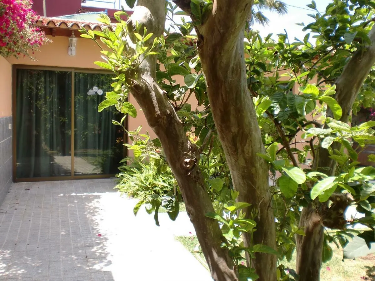 Finca La Gaviota - El Mango Villa Icod De Los Vinos 0*,