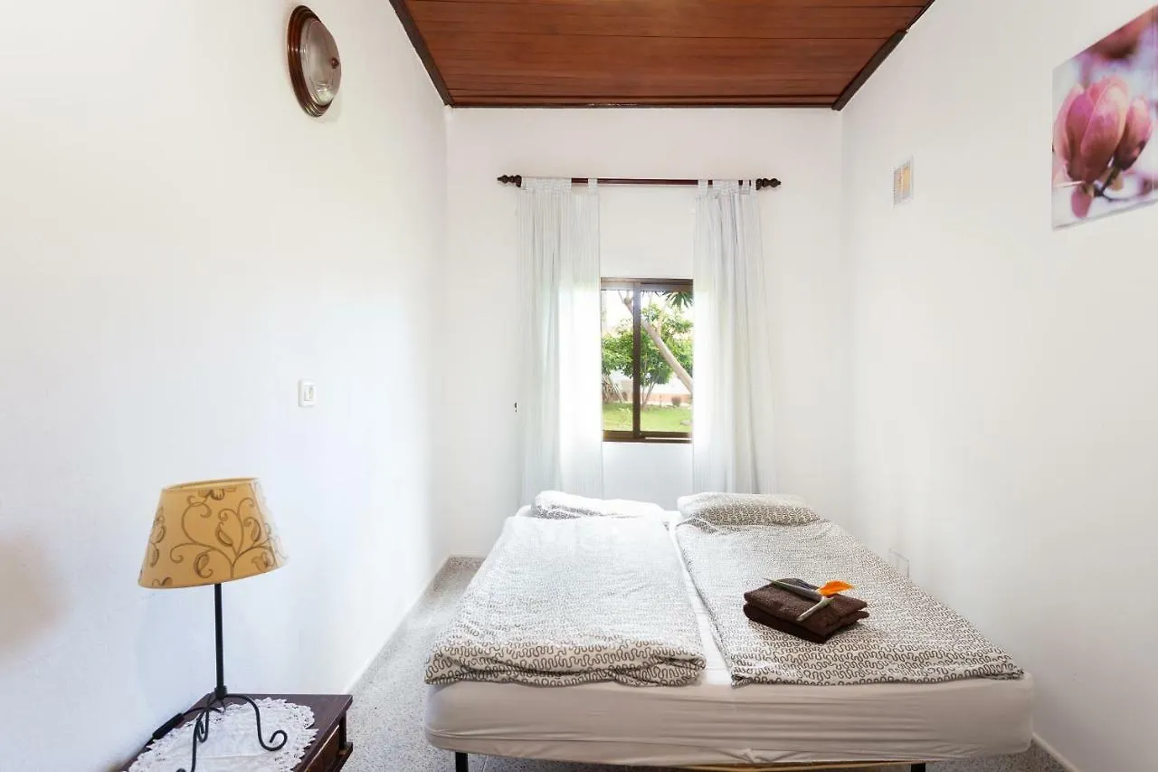 Finca La Gaviota - El Mango Villa Icod De Los Vinos 0*,